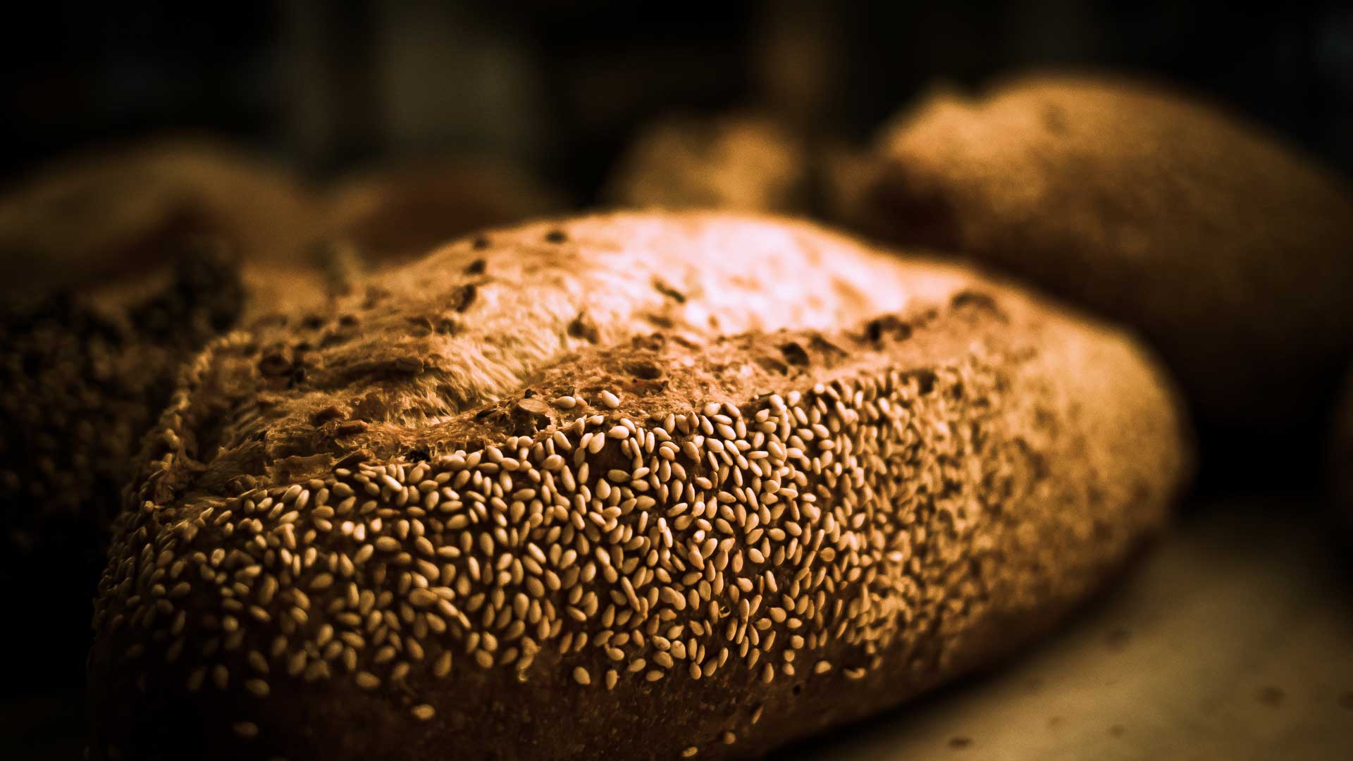 Loaves and baguettes at Le Moulin de Provence KD